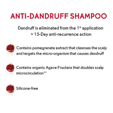 https://cdn.shopify.com/s/files/1/1857/6931/products/pfRZp5YRwQ.jpg?v=1662803707